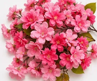 Bloesemtak, roze, bovenkant