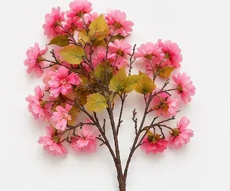 Bloesemtak, roze, onderkant