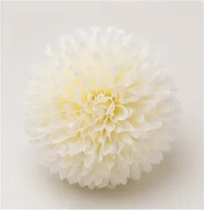 Bolchrysant, van dichtbij