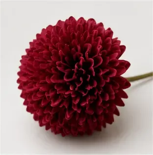 Bolchrysant, detail