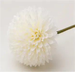 Bolchrysant, structuur