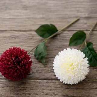 Bolchrysant