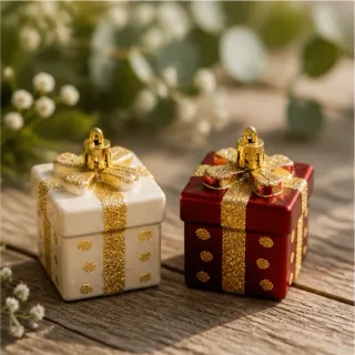 Cadeaudoosje (2 kleuren)
