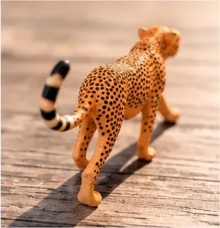 Cheetah, detail