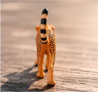 Cheetah, structuur