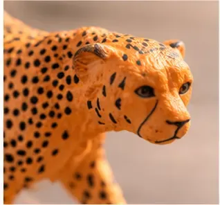 Cheetah, objectfoto