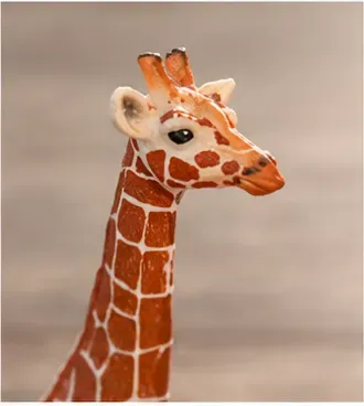 Giraffe, van dichtbij