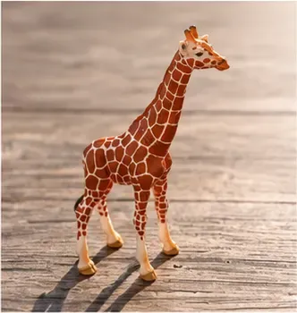 Giraffe, detail