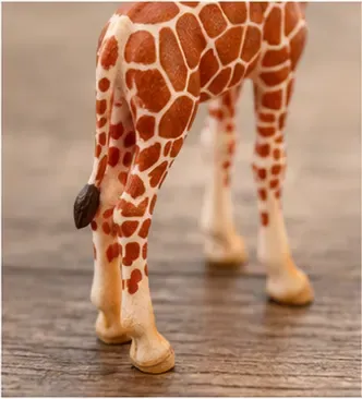 Giraffe, structuur