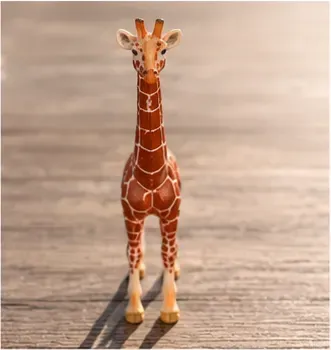 Giraffe, objectfoto