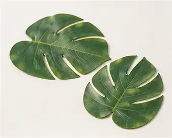 Jungle bladeren (set van 10), objectfoto
