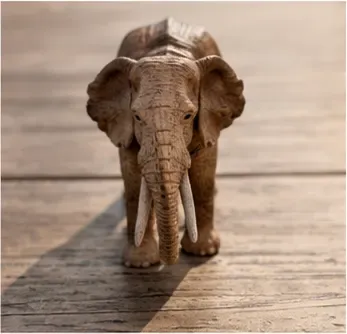 Olifant, van dichtbij