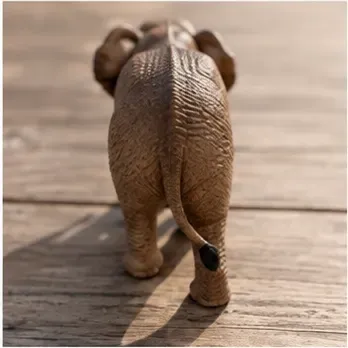 Olifant, structuur