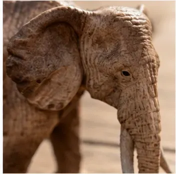 Olifant, objectfoto