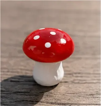 Paddenstoeltje (klein), van dichtbij