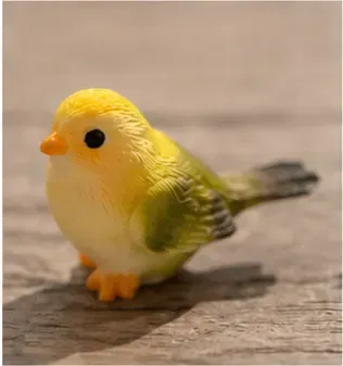 Vogeltje, steen, van dichtbij