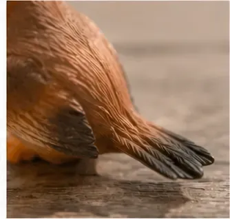 Vogeltje, steen, structuur