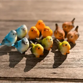 Vogeltje, steen