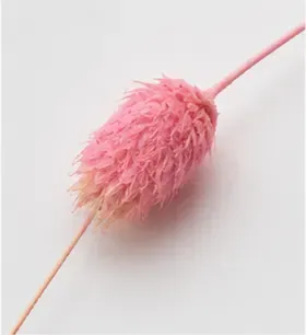 Droogtak, roze, van dichtbij
