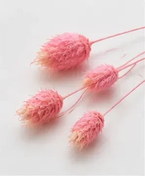 Droogtak, roze, structuur
