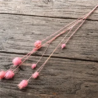Droogtak, roze