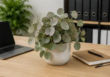 Eucalyptus, Silver Dollar in gebruik, bedrijfsevenement