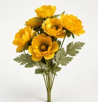 Gele ranonkel (set), objectfoto