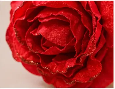 Glitterroos, rood, de bloem van dichtbij