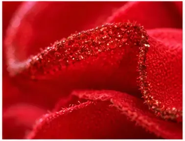 Glitterroos, rood, de glitterrand