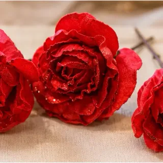 Glitterroos, rood