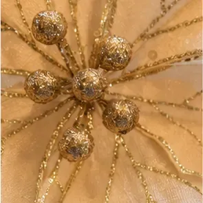 Kerstster, champagne met goud, het hart