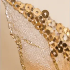 Kerstster, champagne met goud, de pailletten