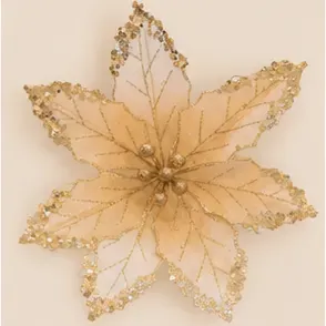 Kerstster, champagne met goud, de ster