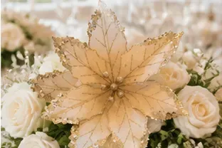 Kerstster, champagne met goud in gebruik, bruiloft