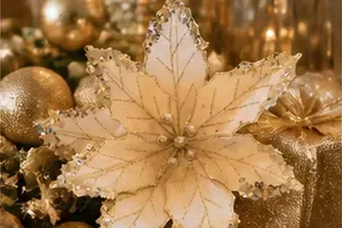 Kerstster, champagne met goud in gebruik, feest