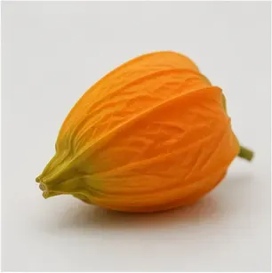 Oranje knoppen (set van 12), detail
