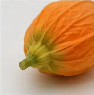 Oranje knoppen (set van 12), structuur