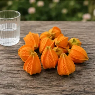 Oranje knoppen (set van 12)