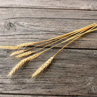 Koren (set van 3)