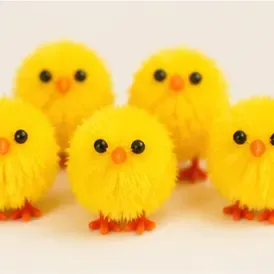 Mini kuikentjes (set van 6), van dichtbij