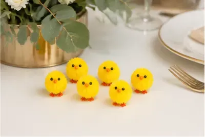 Mini kuikentjes (set van 6) in gebruik, bedrijfsevenement