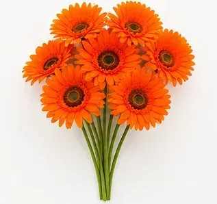 Oranje gerbera, objectfoto
