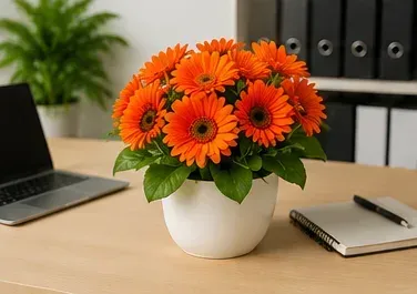 Oranje gerbera in gebruik, bedrijfsevenement