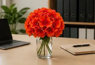 Oranje hydrangea in gebruik, bedrijfsevenement