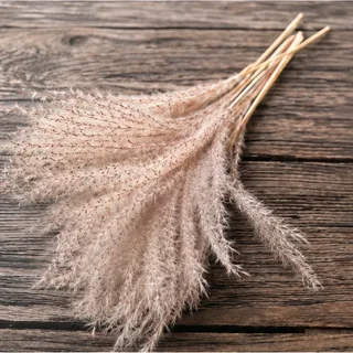 Pampas, wijd