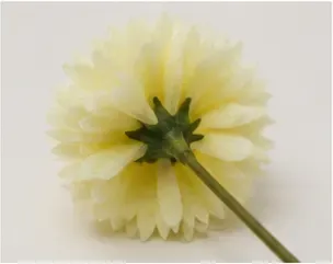 Pompoenbloemen (set van 16), geel