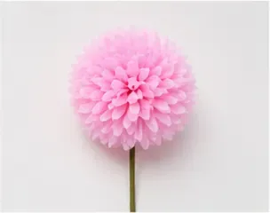 Pompoenbloemen (set van 16), roze