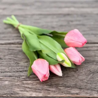 Tulpenboeket (bosje van 5)