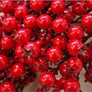 Veenbessenkrans, rood, de bessen