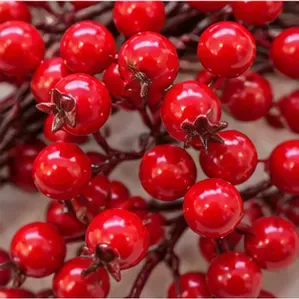 Veenbessenkrans, rood, de kroontjes